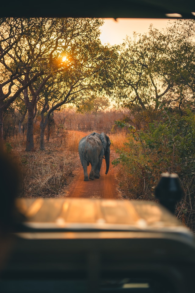 Adventure